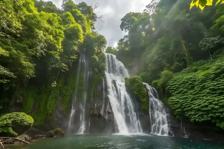 North Bali Waterfall Tour Tour Bali