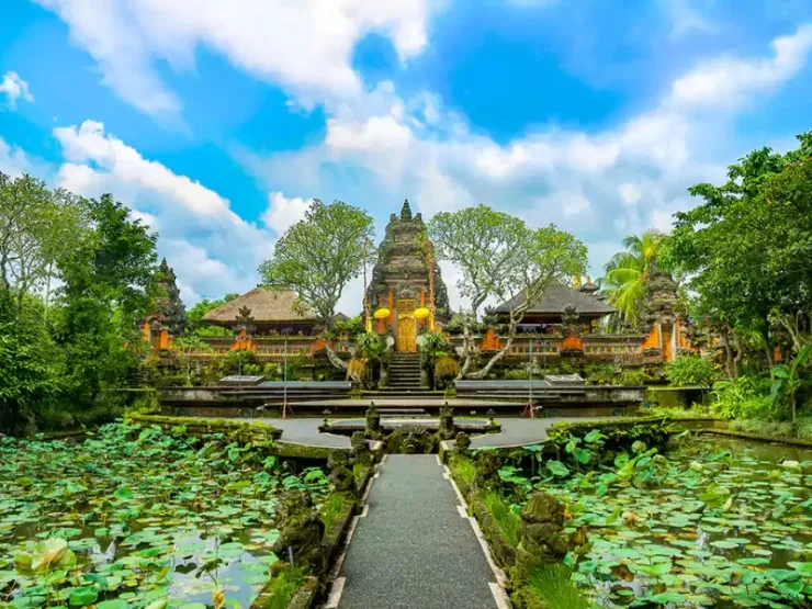 Ubud Cultural Experience Tour Bali